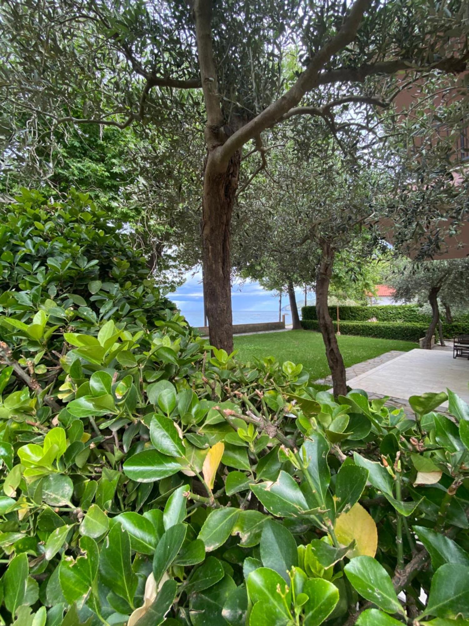 Paparizou Apartments Kókkinon Nerón Εξωτερικό φωτογραφία
